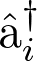 \hat{\textlatin{a}}_i^\dagger